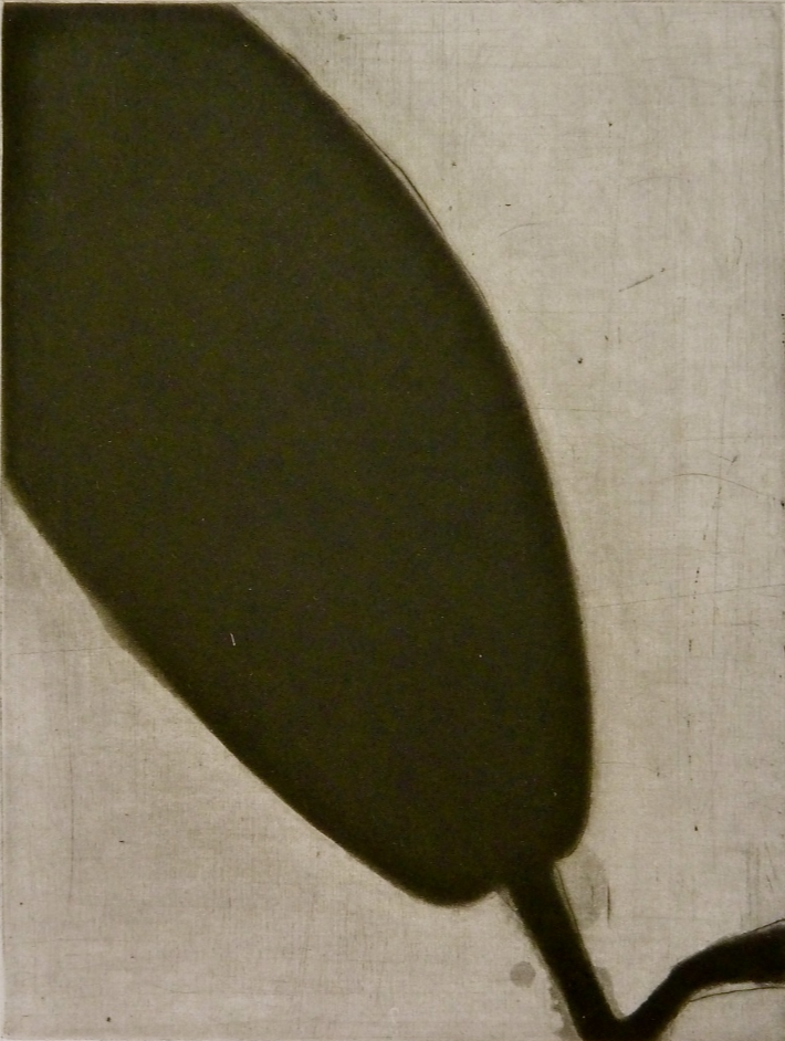 Black Lilly, schwarze Lilie, Aquatinta Radierumg mit satten Schwarztönen, samtig, Lilie, Symbol der Unschuld