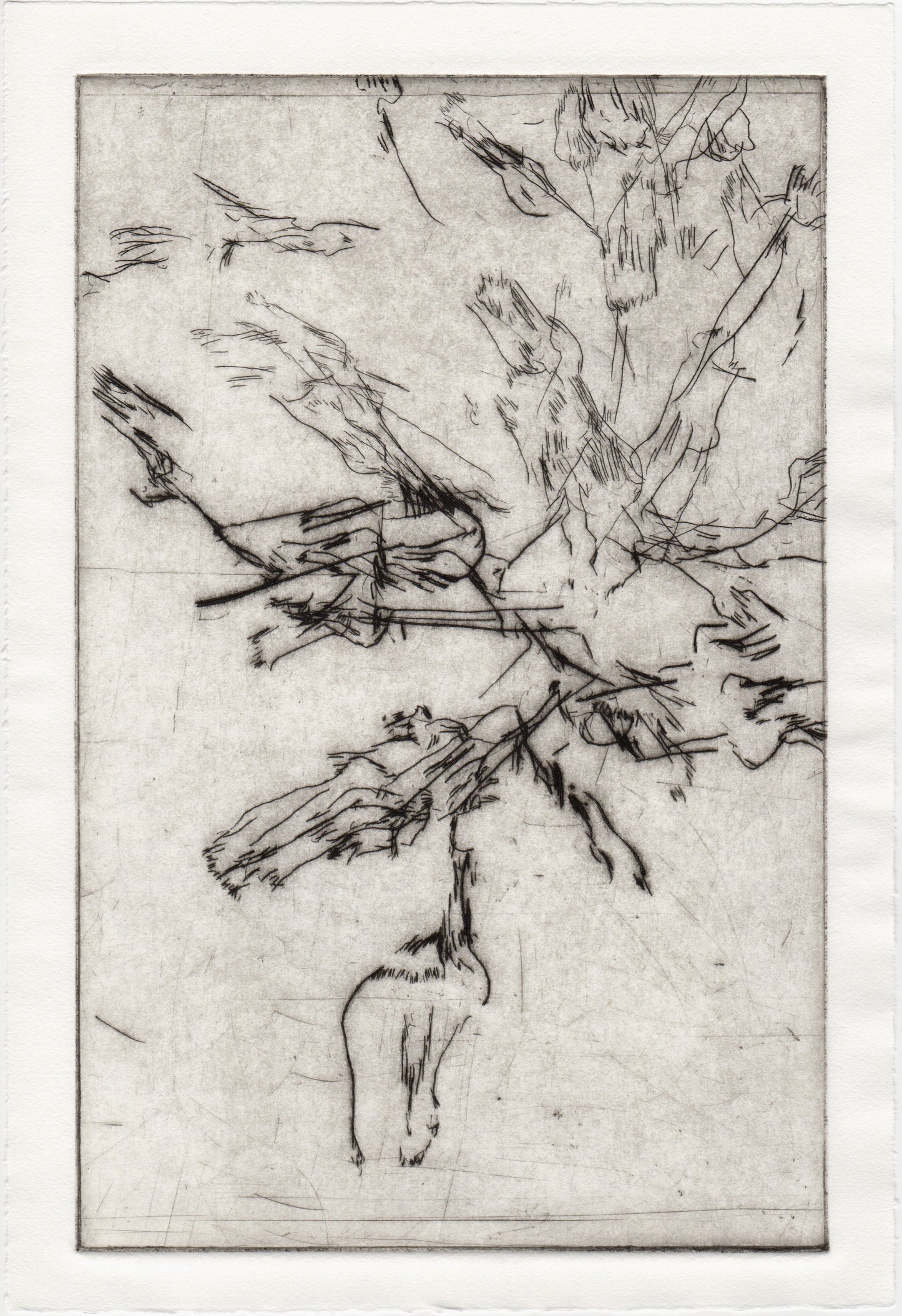 Begegnung 3 - Pestwurz, 22 x 33 cm