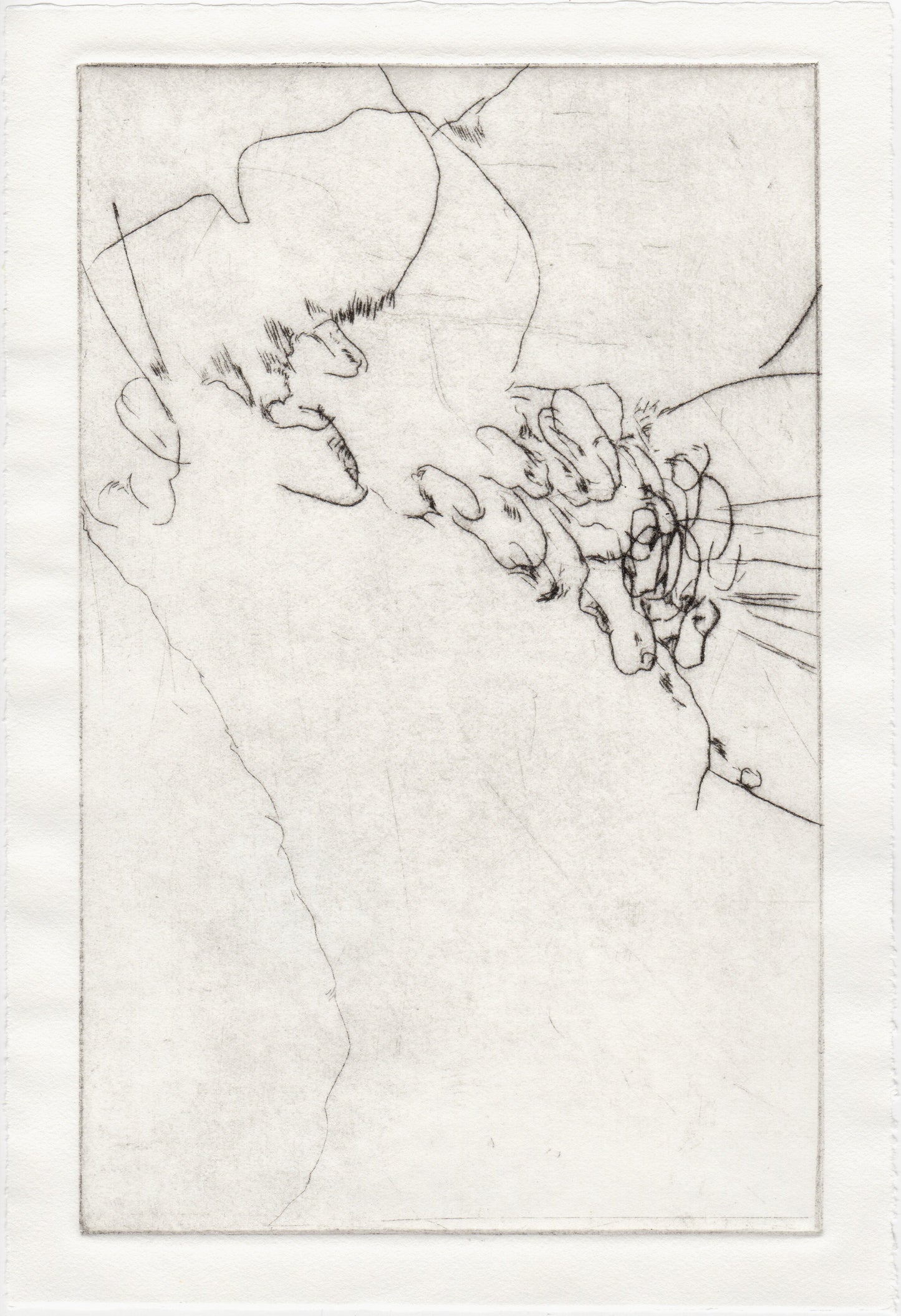 Begegnung 8 - Sumpfdotterblume, 22 x 33 cm