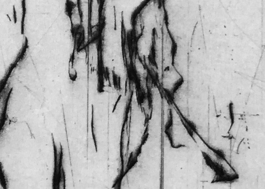 Little-Iris-2017_radierung_schwarz_weiss_bluete_knospe_detail1_