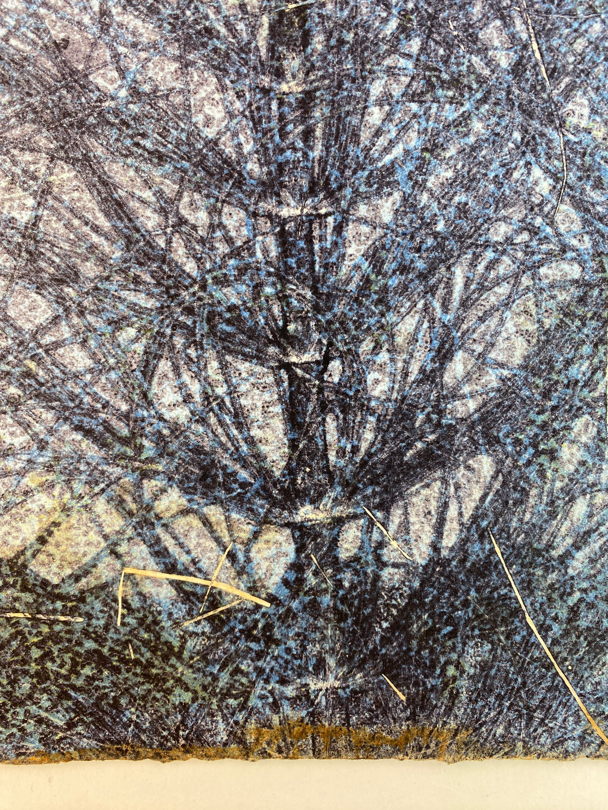 blauer-schachtelhalm-detail-pflanzendruck