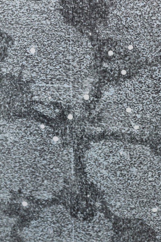 Abstraktes monochromes Kunstwerk in Grautönen mit organischen Strukturen und kreisförmigen Elementen – Abstract monochrome artwork in shades of grey with organic textures and circular shapes