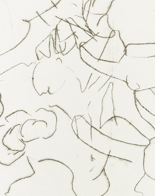 Zarte Kaltnadelradierung mit floralen Linien und Formen auf weißem Grund, minimalistisch und transparent – Delicate etching with floral lines and shapes on white background, minimal and airy