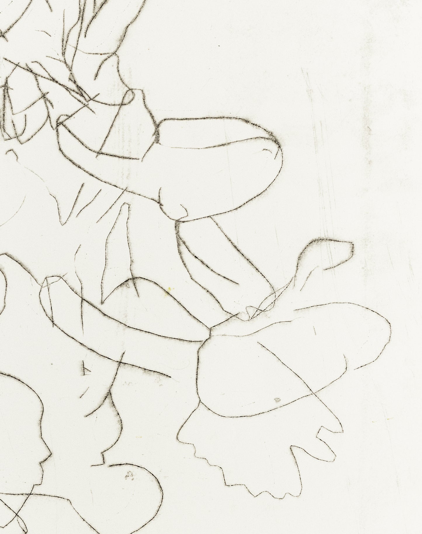 Zarte Kaltnadelradierung mit floralen Linien und Formen auf weißem Grund, minimalistisch und transparent – Delicate etching with floral lines and shapes on white background, minimal and airy.