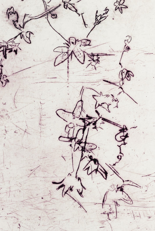 Feine Kaltnadelradierung von Blüten in zartem Lila auf weißem Grund mit filigranen Linien und transparenter Wirkung – Delicate floral etching in soft purple on white background with fine lines and translucent effect.