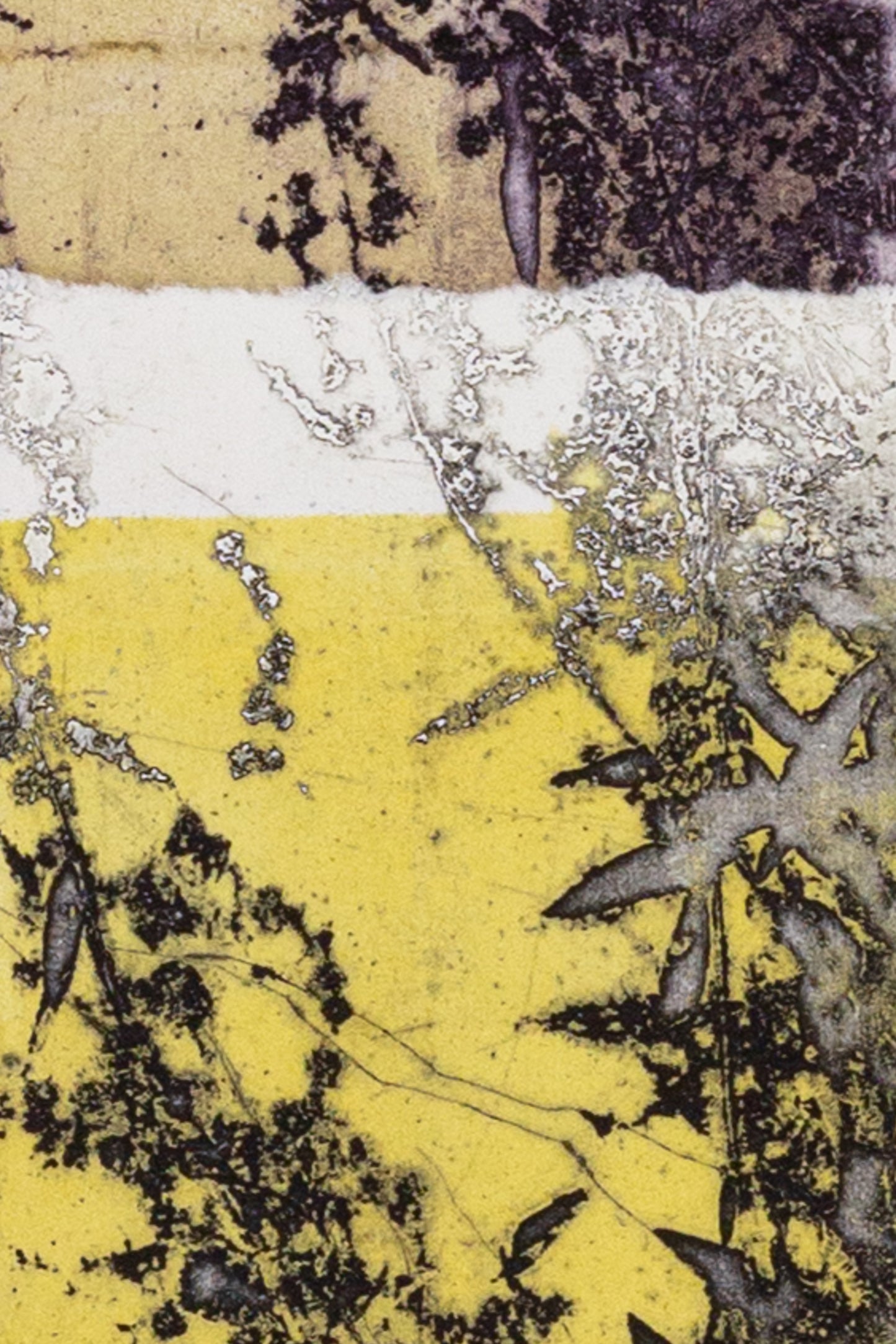 Wermuth, 20 x 60 cm