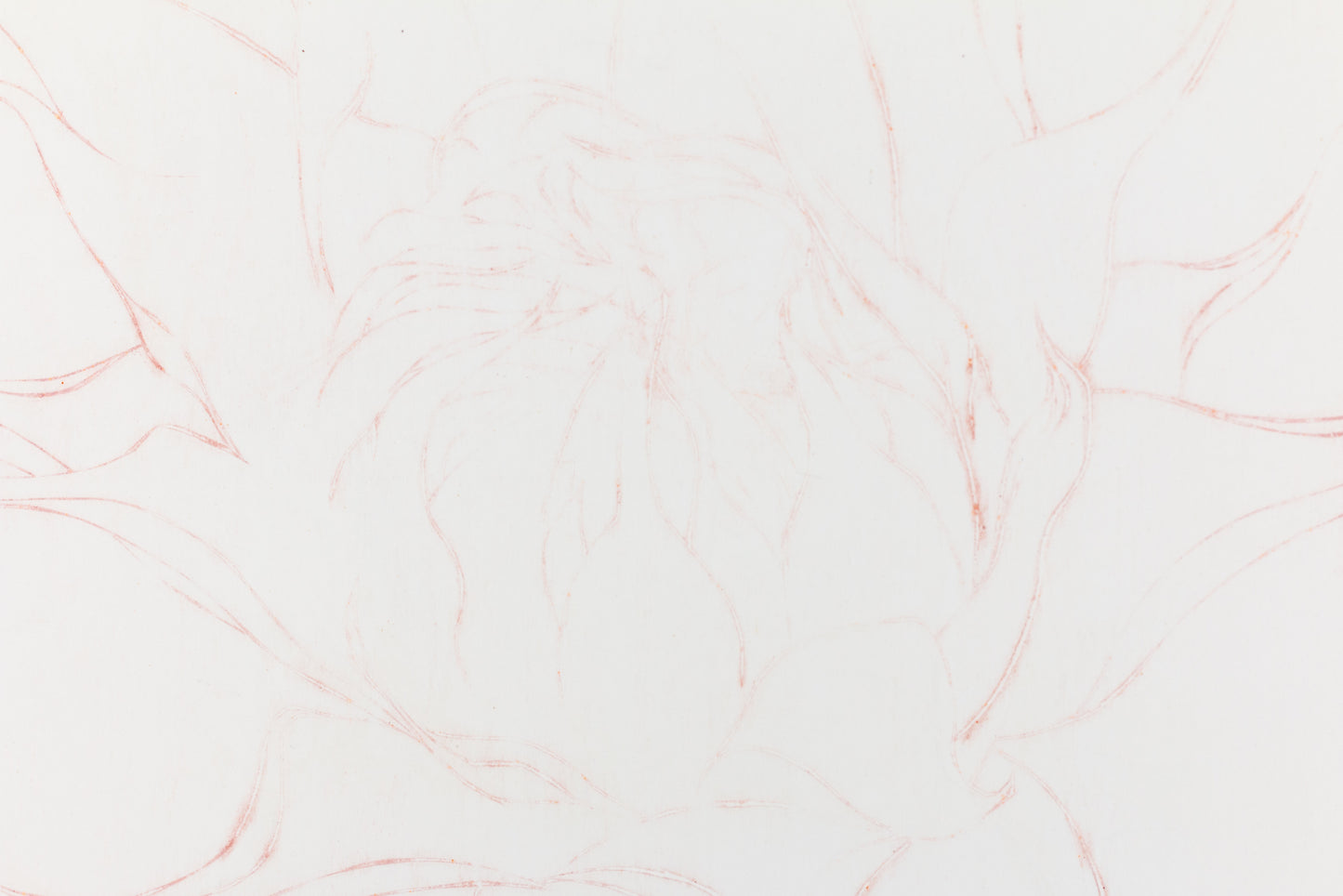 Feine Radierung einer Sonnenblume in Rot auf weißem Grund mit zarten Linien und reduzierter Form – Delicate etching of a sunflower in red on white background with fine lines and minimal composition.