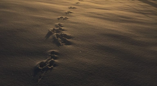 Adventsausstellung im Atelier Büntig