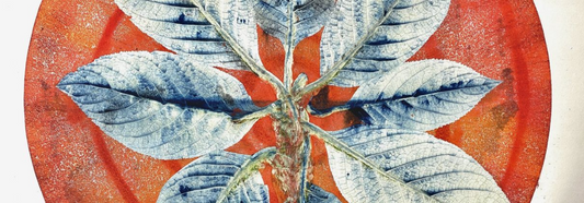 Art & Science Festival – Einzelausstellung