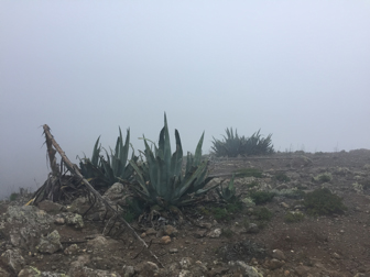 Reflektion über meine Arbeit