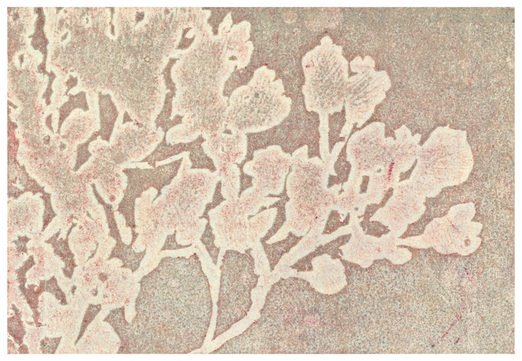 Plakate - open edition print auf Papier in Museumsqualität