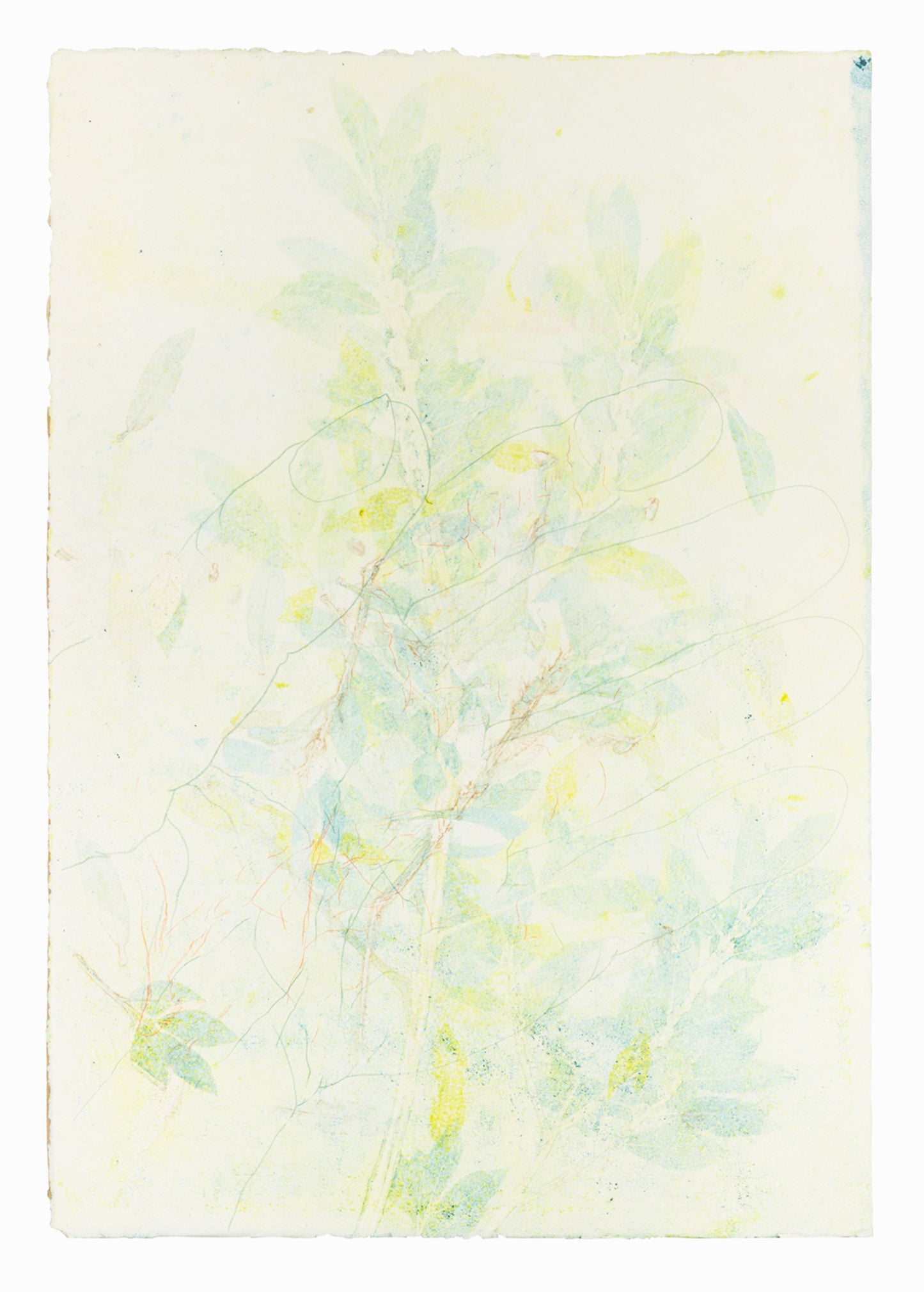 Hand in the Bushes, 54 x 78 cm - Verkauft