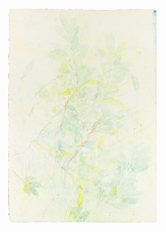 Hand in the Bushes, 54 x 78 cm - Verkauft