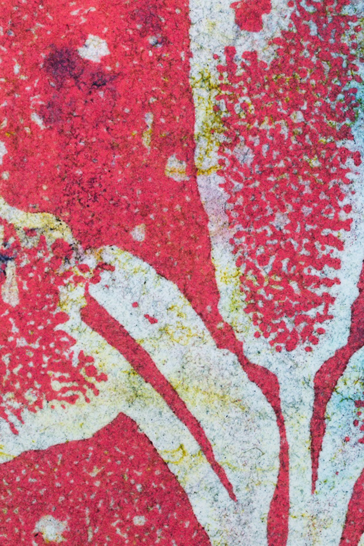 Pink Panther, 54 x 78 cm