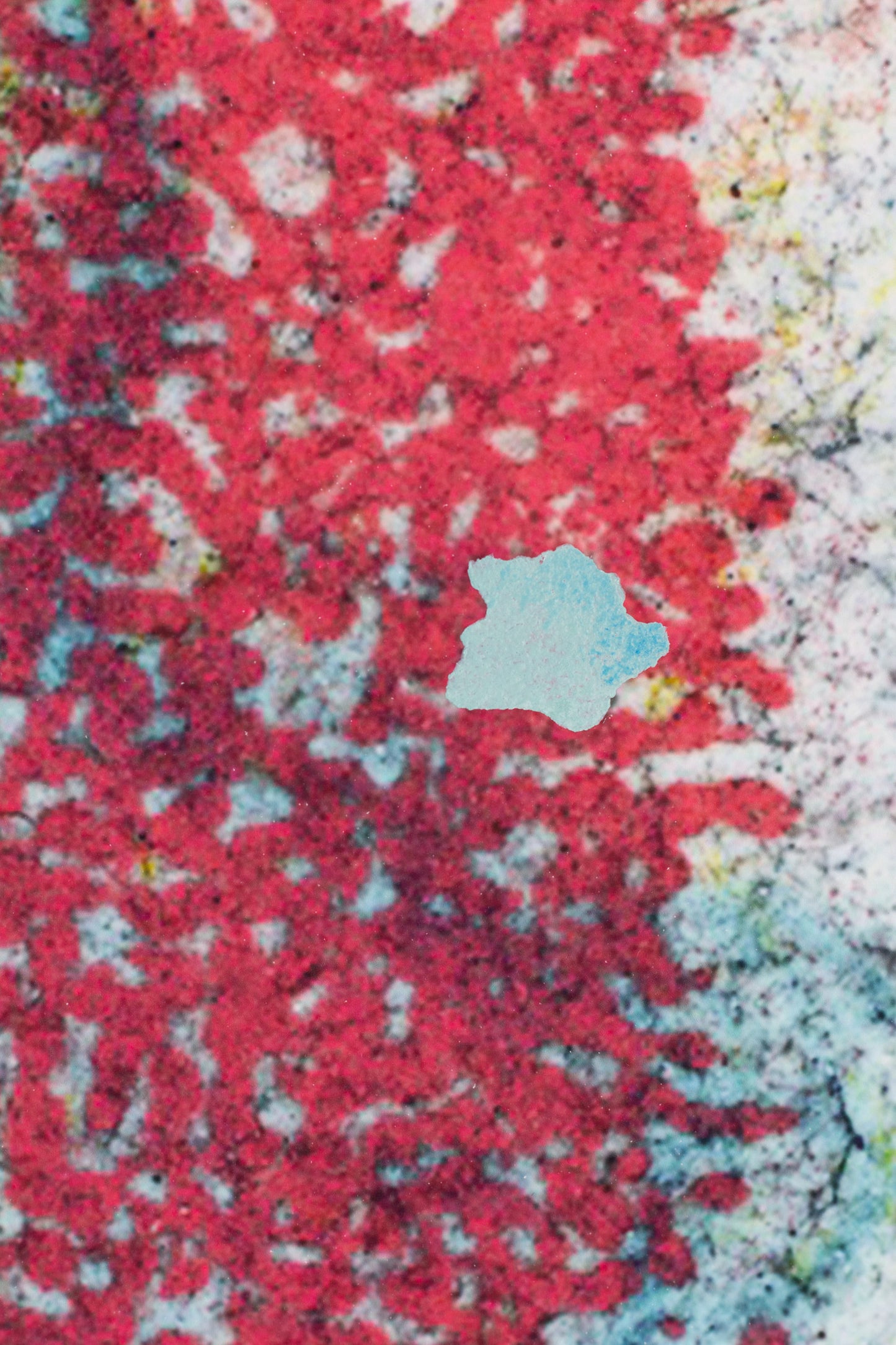 Pink Panther, 54 x 78 cm