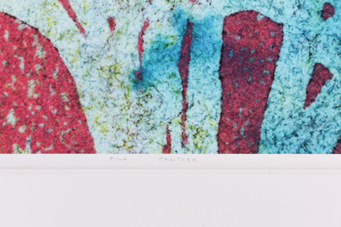Pink Panther, 54 x 78 cm