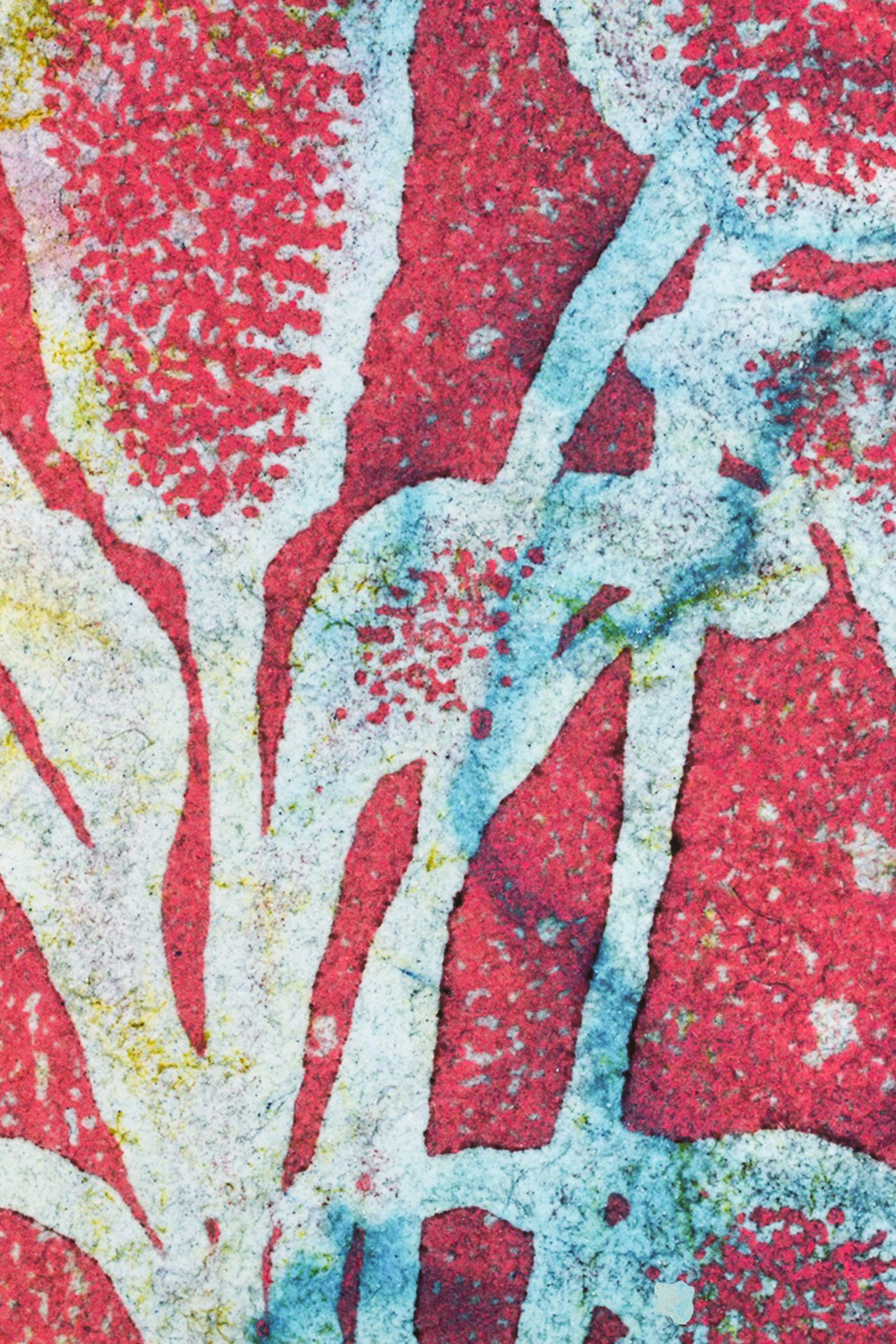 Pink Panther, 54 x 78 cm