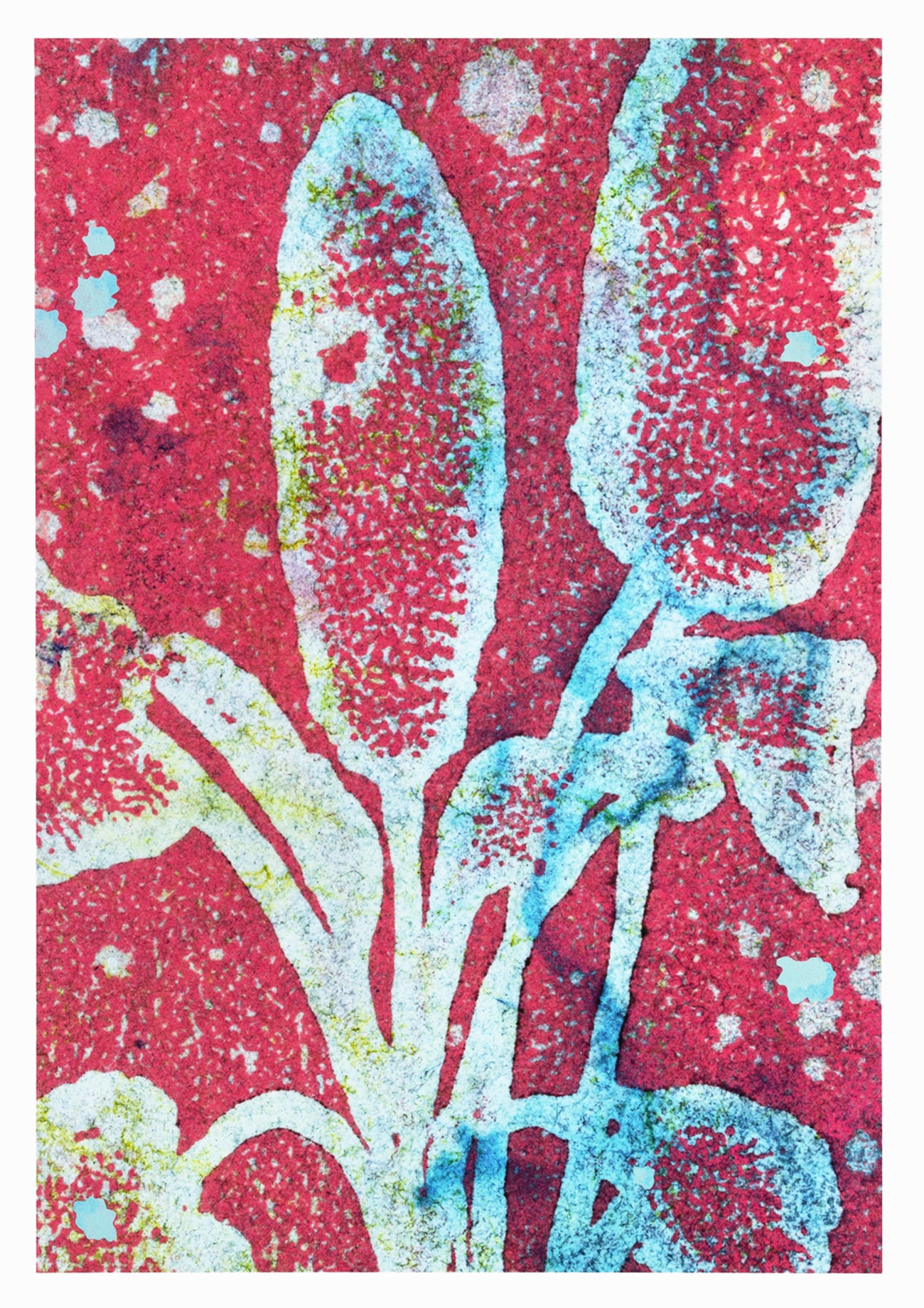 Pink Panther, 54 x 78 cm