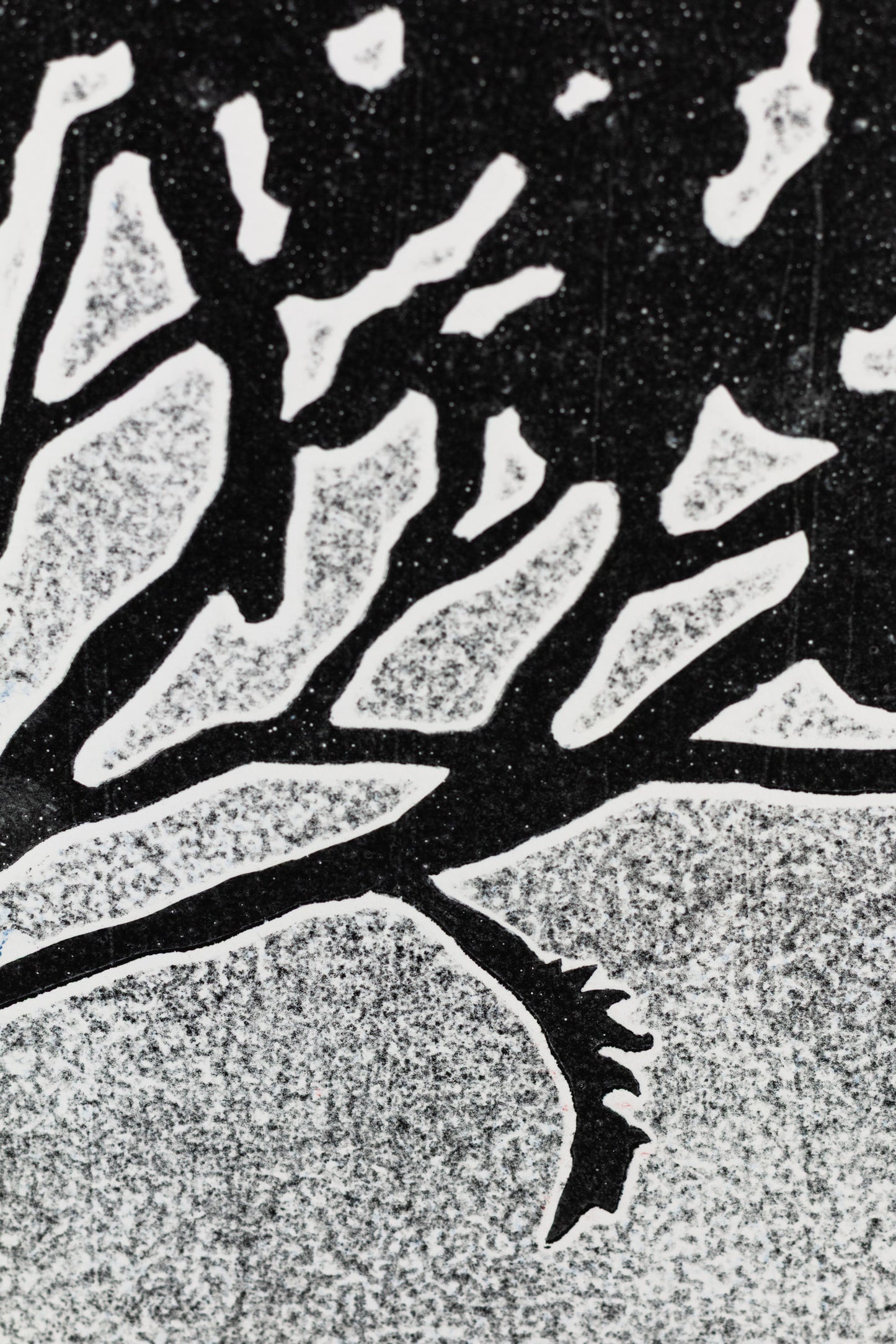 Fullmoonview, 57 x 57 cm