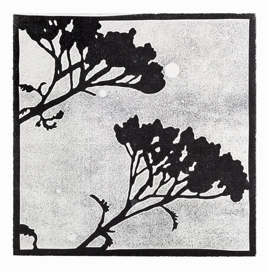 Fullmoonview, 57 x 57 cm