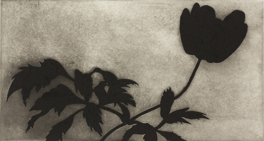 Black Powerflower, 40 x 60 cm