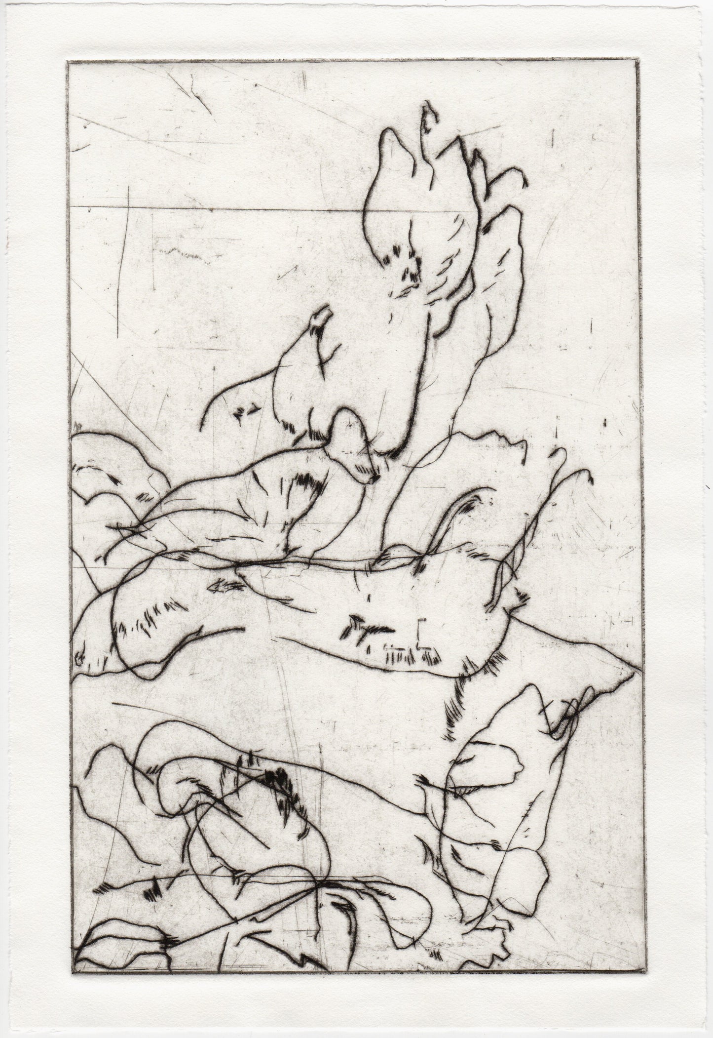 Begegnung 6 - Lerchensporn, 22 x 33 cm