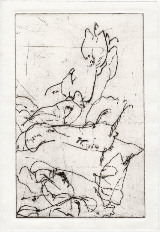 Begegnung 6 - Lerchensporn, 22 x 33 cm