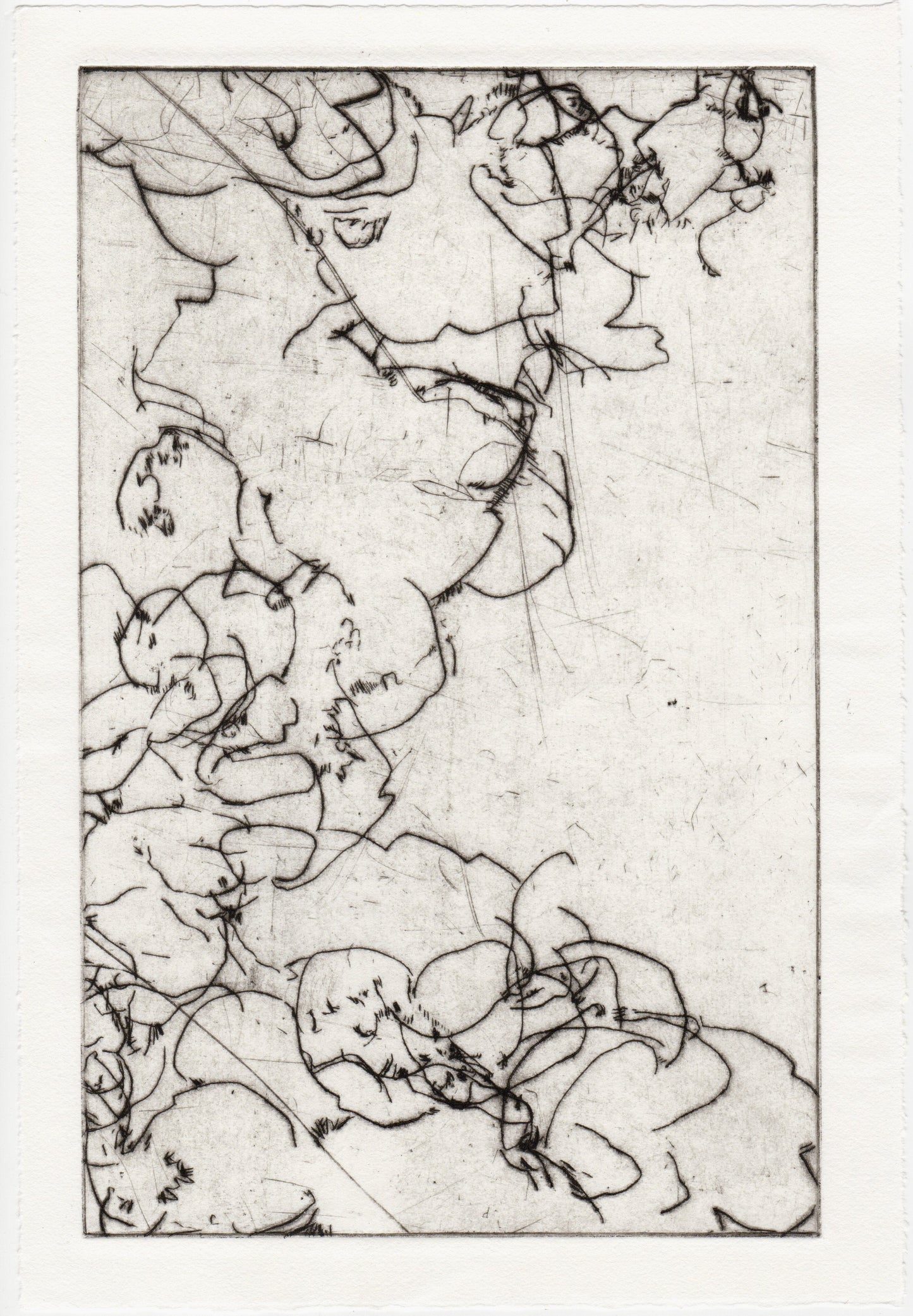 Begegnung 4 - Wechselblättriges Milzkraut, 22 x 33 cm