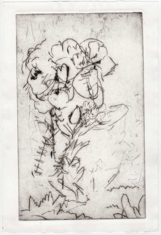 Begegnung 7 - Wiesenschaumkraut, 22 x 33 cm