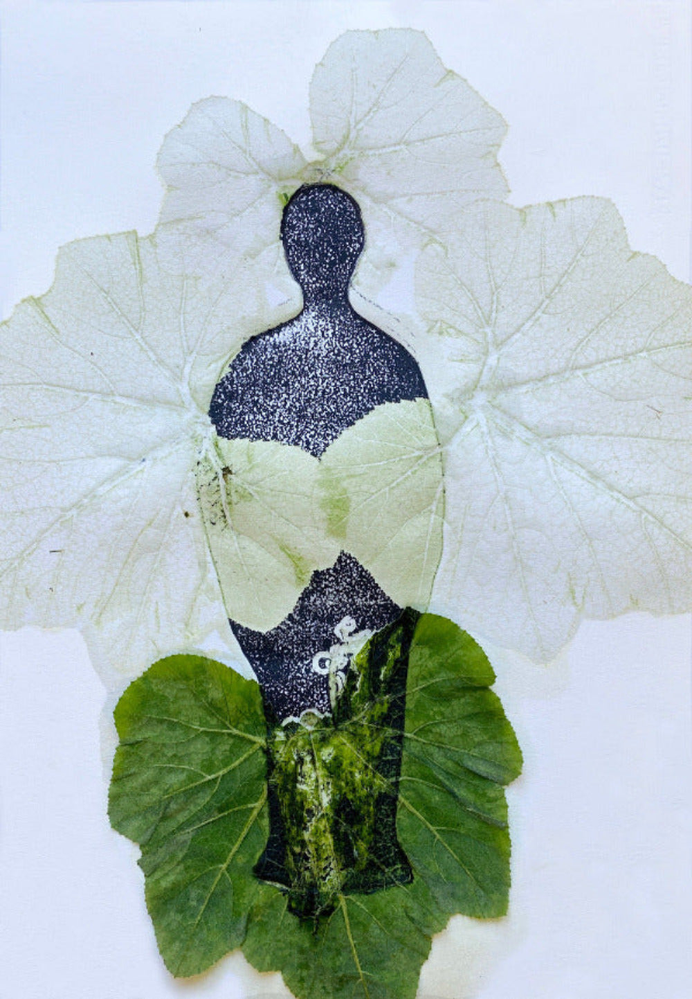 Human, Huflattich, Frühlingsblüher, Pflanzen als wahre Grundlage des Lebens, ohne Rahmen, Büttenpapier, Hahnemühle