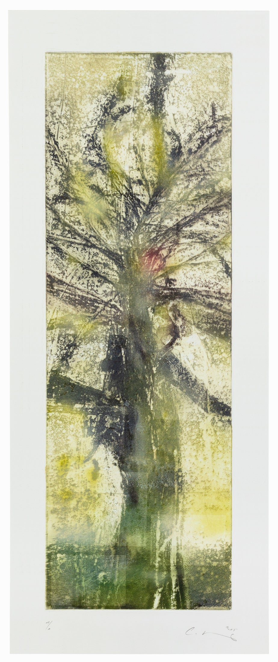 Sacred Corn, 23 x 60 cm