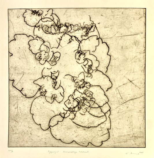 Begegnung 9 - wechselblättriges Milzkraut,