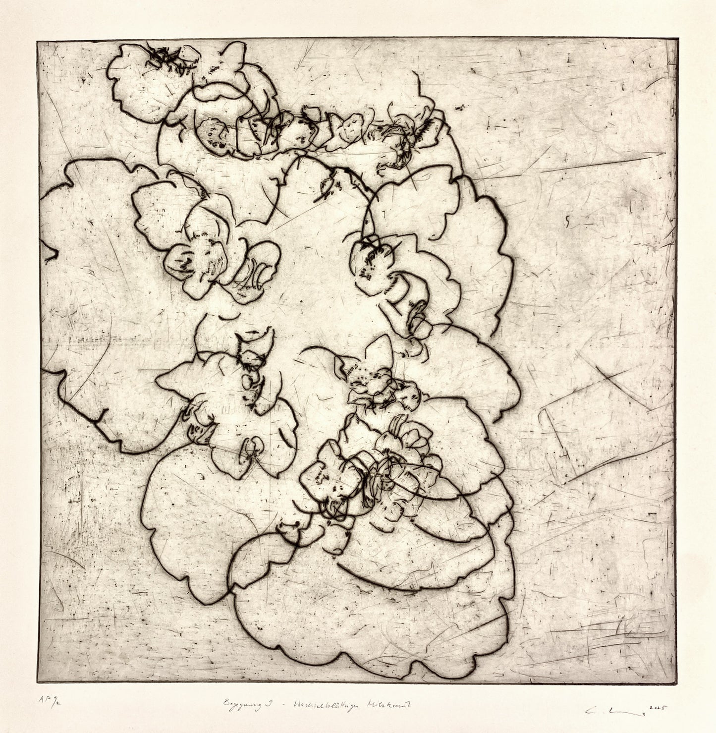 Begegnung 9 - wechselblättriges Milzkraut, 54 x 54 cm