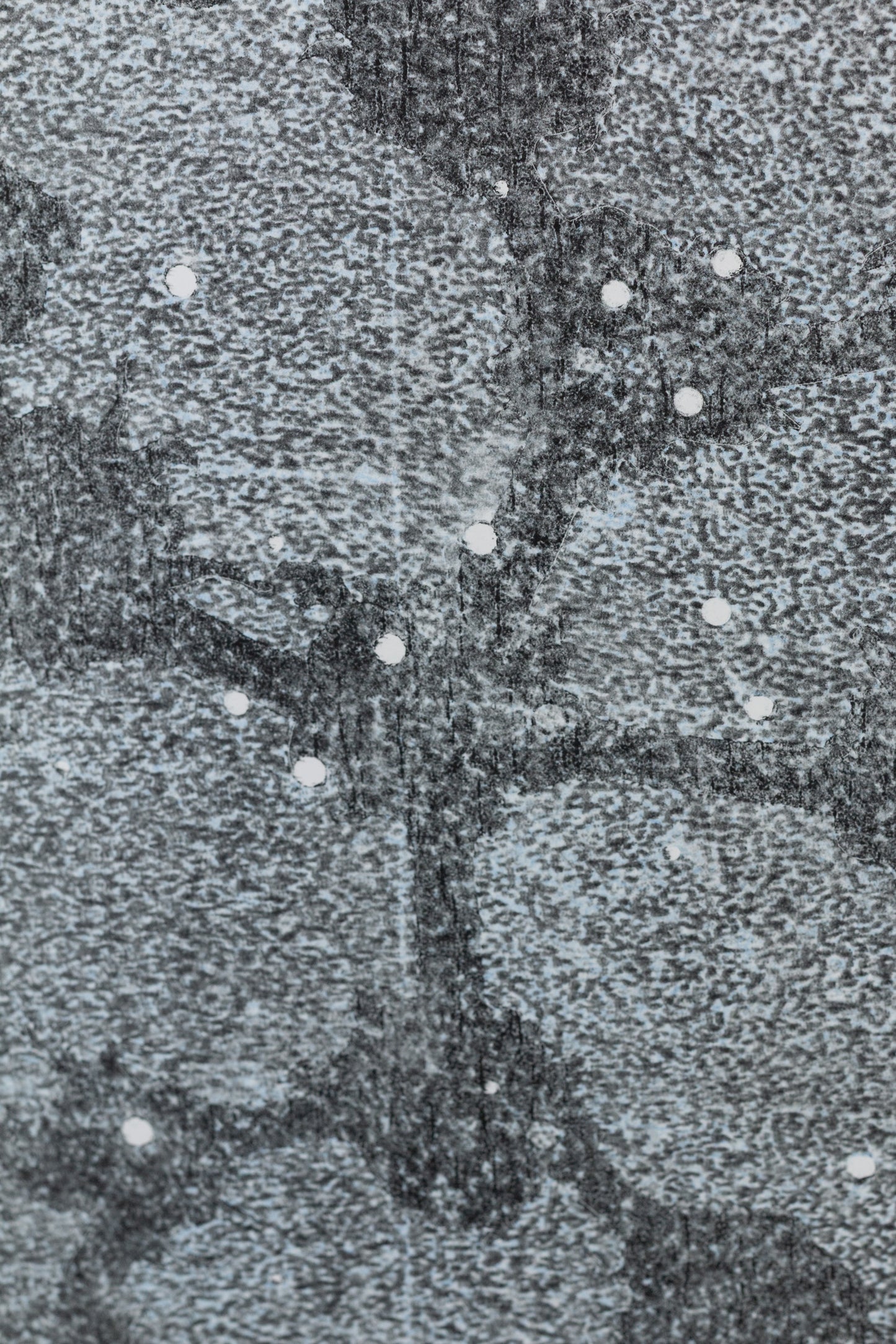 Abstraktes monochromes Kunstwerk in Grautönen mit organischen Strukturen und kreisförmigen Elementen – Abstract monochrome artwork in shades of grey with organic textures and circular shapes