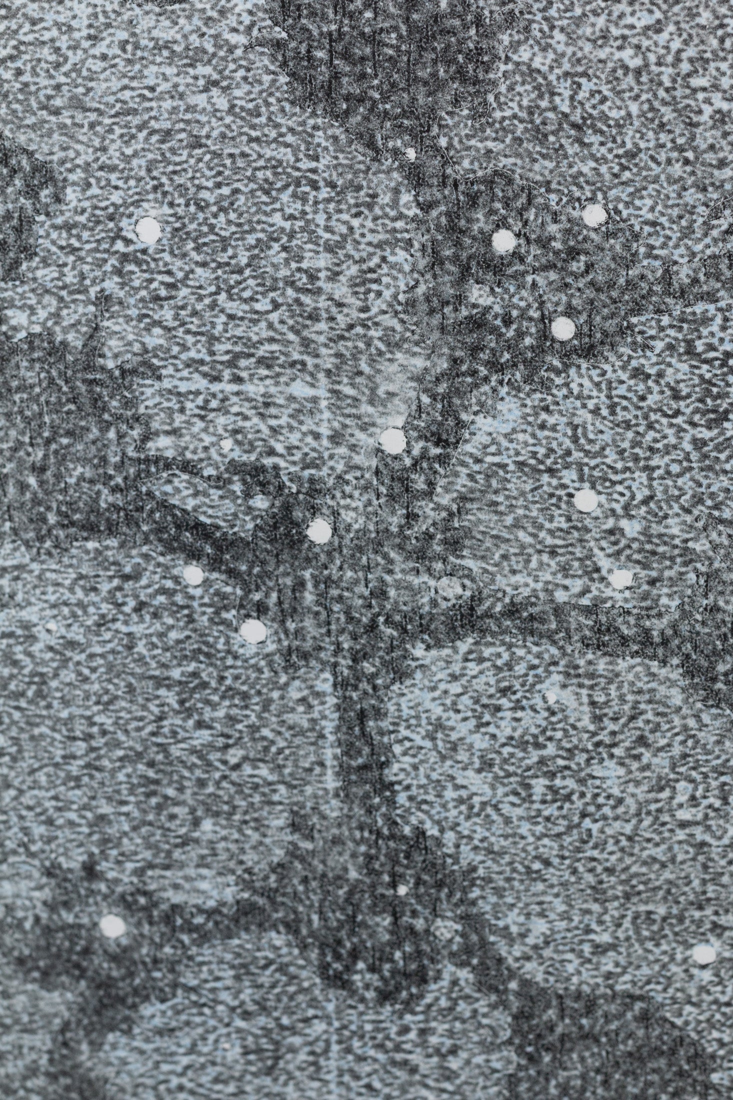 Abstraktes monochromes Kunstwerk in Grautönen mit organischen Strukturen und kreisförmigen Elementen – Abstract monochrome artwork in shades of grey with organic textures and circular shapes