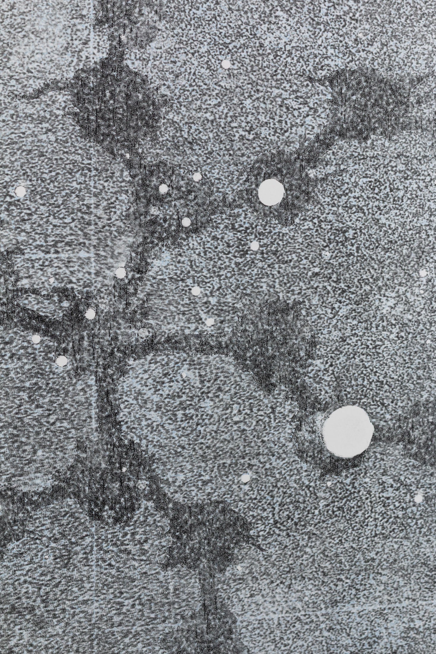 Abstraktes monochromes Kunstwerk in Grautönen mit organischen Strukturen und kreisförmigen Elementen – Abstract monochrome artwork in shades of grey with organic textures and circular shapes