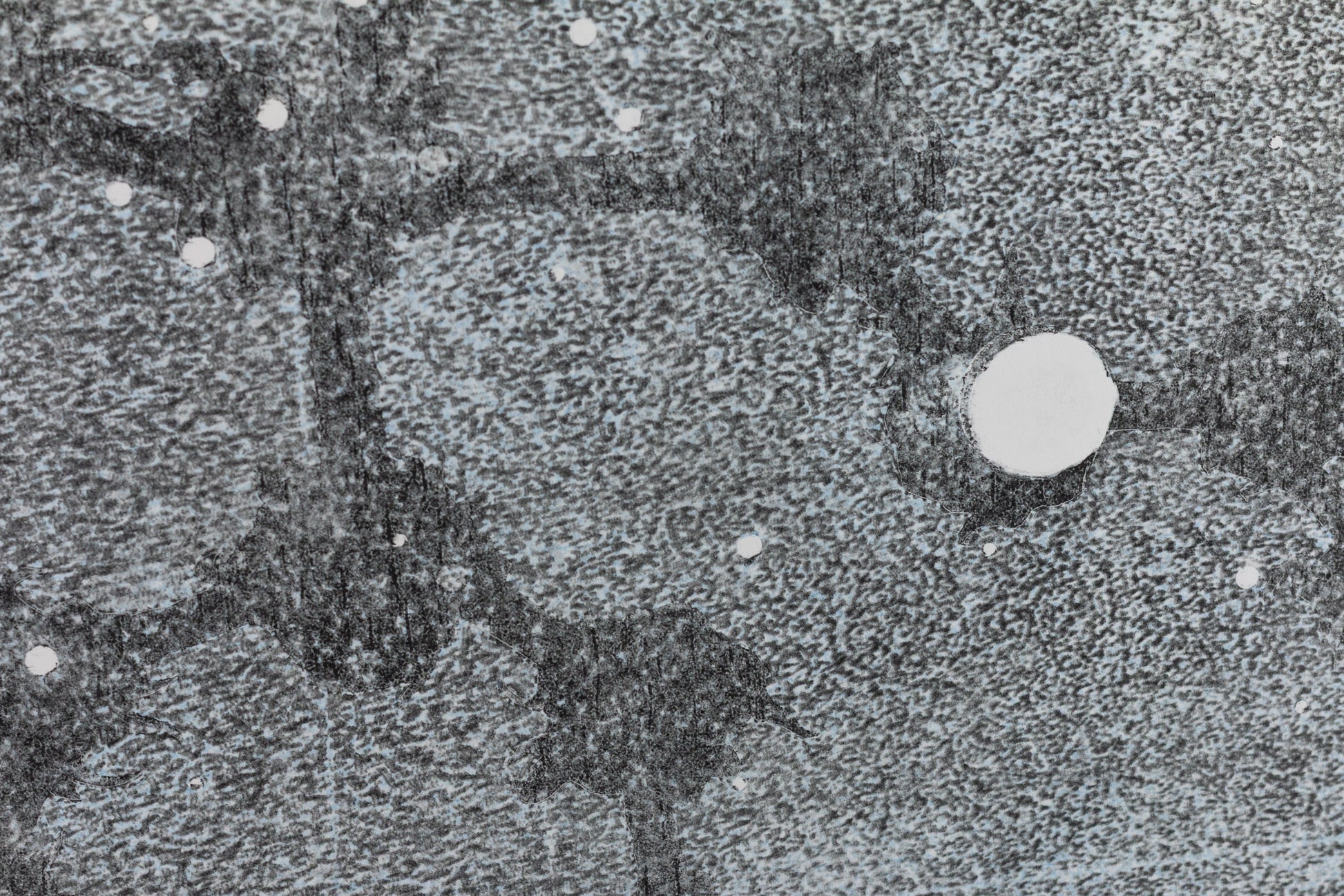 Abstraktes monochromes Kunstwerk in Grautönen mit organischen Strukturen und kreisförmigen Elementen – Abstract monochrome artwork in shades of grey with organic textures and circular shapes