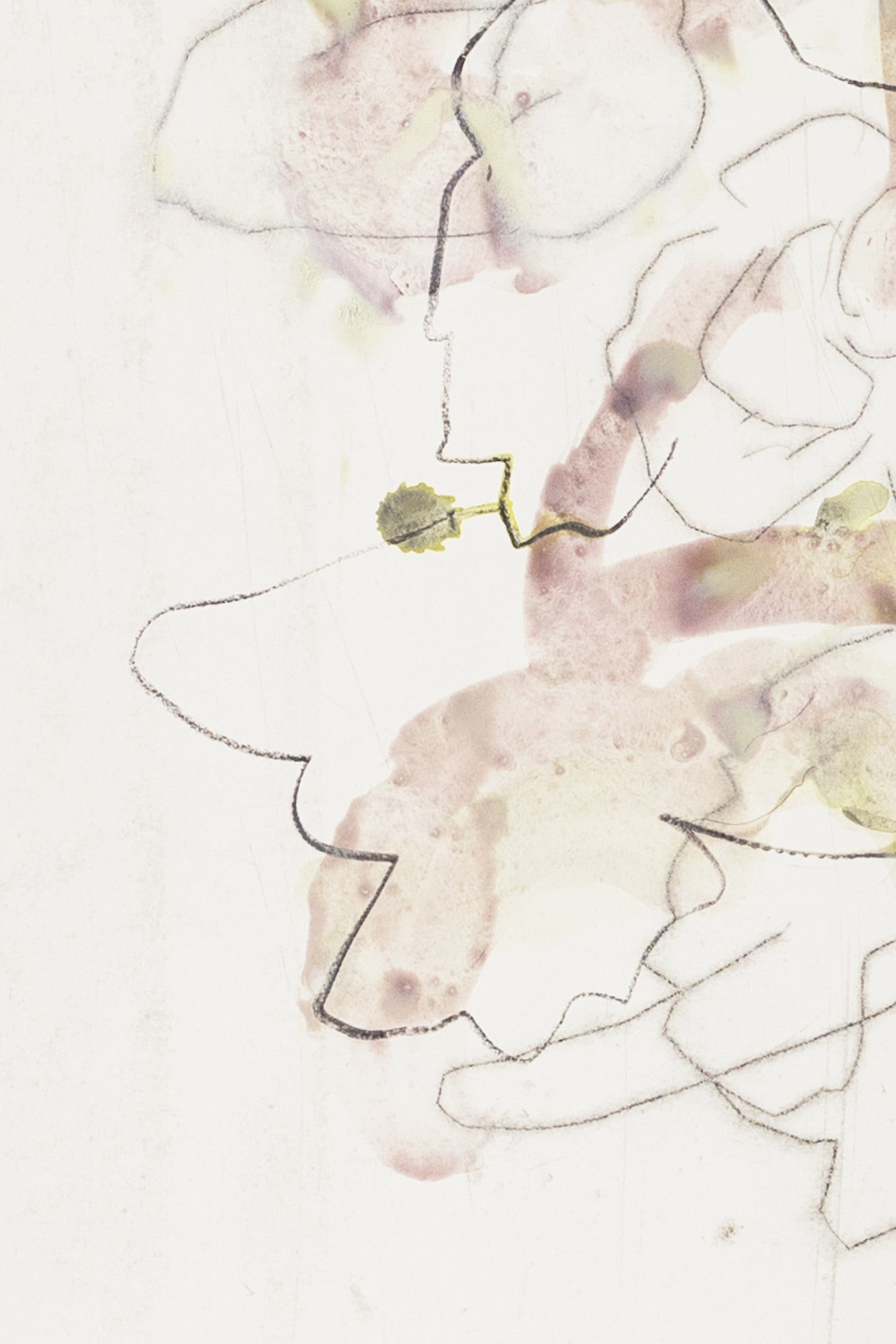 Abstrakte Blumenskizze eines Knabenkrauts in Violett, Grün und Grau mit feinen Linien und transparenten Farbschichten auf hellem Papier – abstract floral motive of a marsh orchid in violet, green and grey tones with fine lines and translucent color washes on light paper.