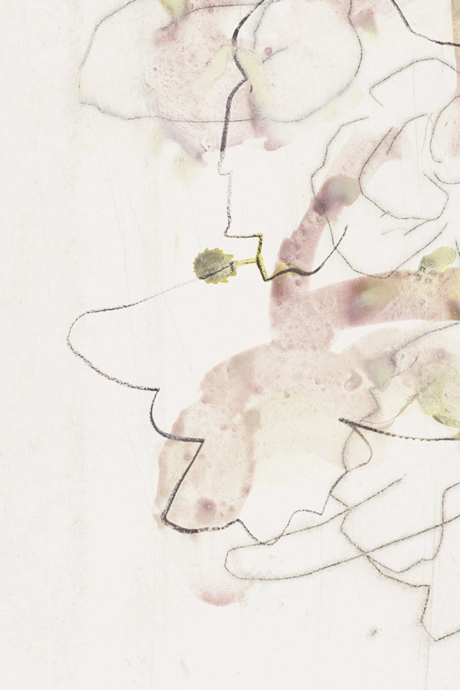 Abstrakte Blumenskizze eines Knabenkrauts in Violett, Grün und Grau mit feinen Linien und transparenten Farbschichten auf hellem Papier – abstract floral motive of a marsh orchid in violet, green and grey tones with fine lines and translucent color washes on light paper.