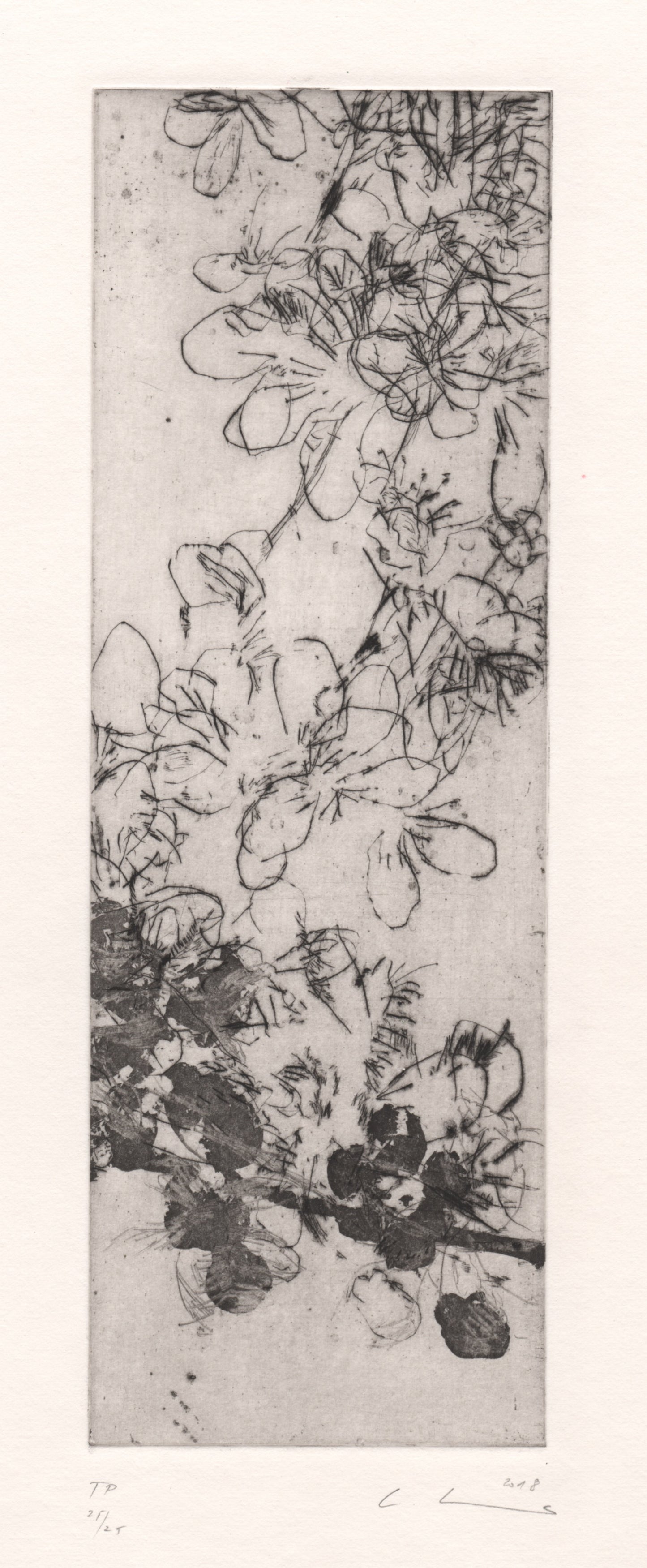 Feine, schwarz-weiße Radierung eines Apfelbaumzweigs mit mehreren Blüten und Knospen. Die Darstellung ist reduziert und grafisch, mit zarten, leicht geschwungenen Linien. Delicate black and white etching of an apple tree branch with several blossoms and buds. The depiction is minimal and graphic, rendered with fine, gently curved lines.