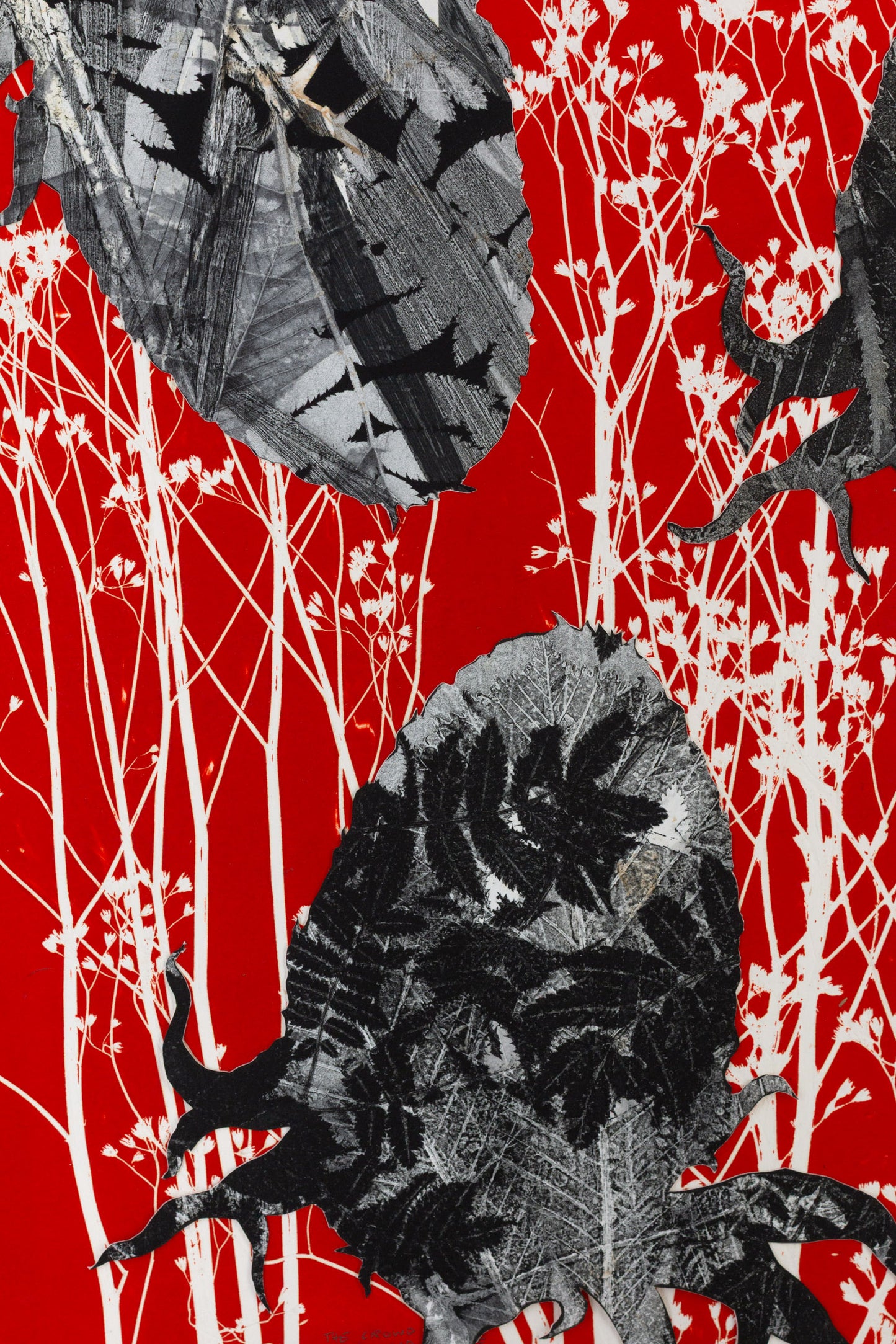 Collage mit schwarzen Blattformen und organischen Strukturen auf leuchtend rotem Hintergrund mit weißen Pflanzenmotiven – Collage with black leaf shapes and organic structures on a vivid red background with white plant silhouettes.