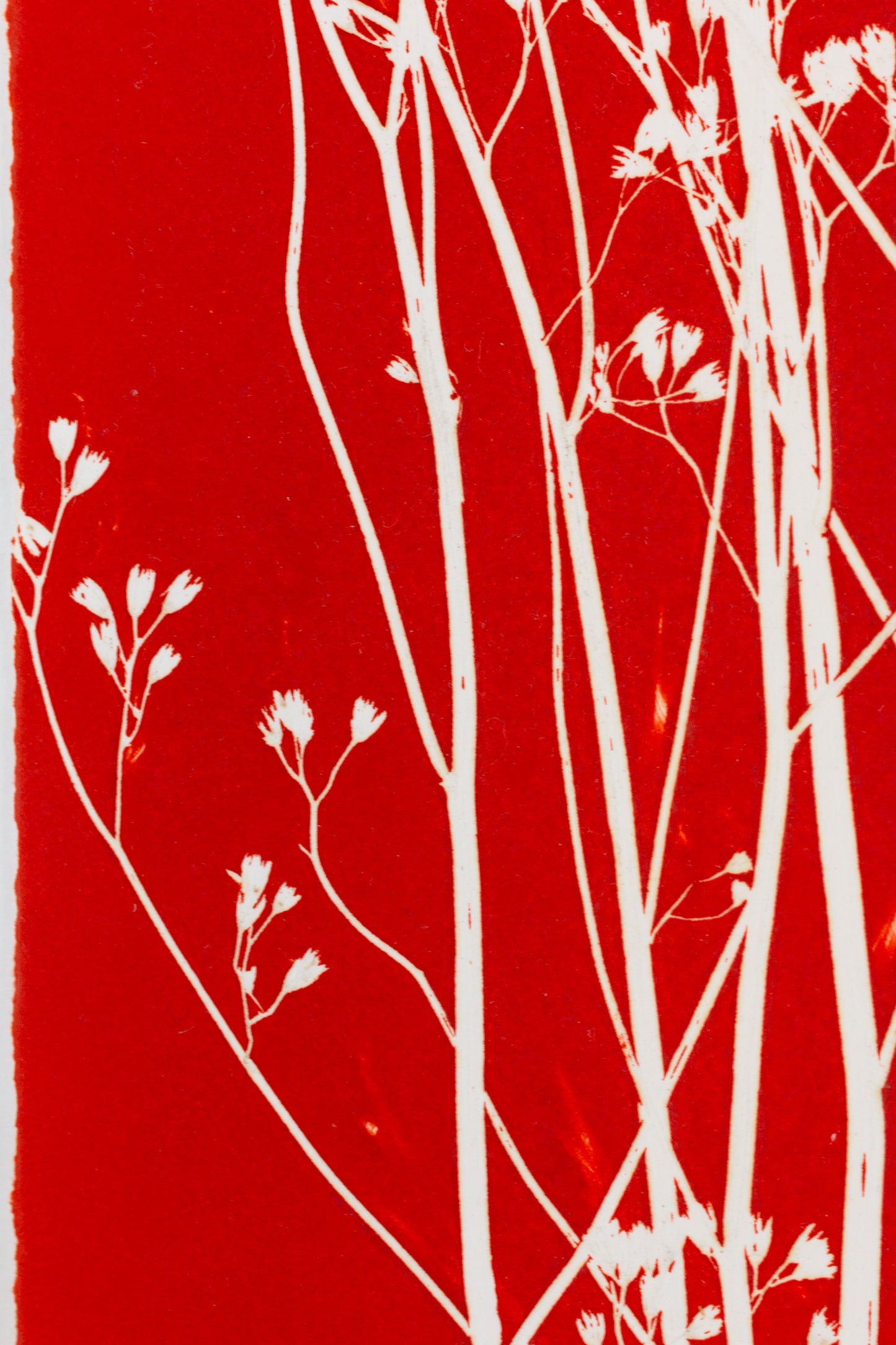 Collage mit schwarzen Blattformen und organischen Strukturen auf leuchtend rotem Hintergrund mit weißen Pflanzenmotiven – Collage with black leaf shapes and organic structures on a vivid red background with white plant silhouettes.