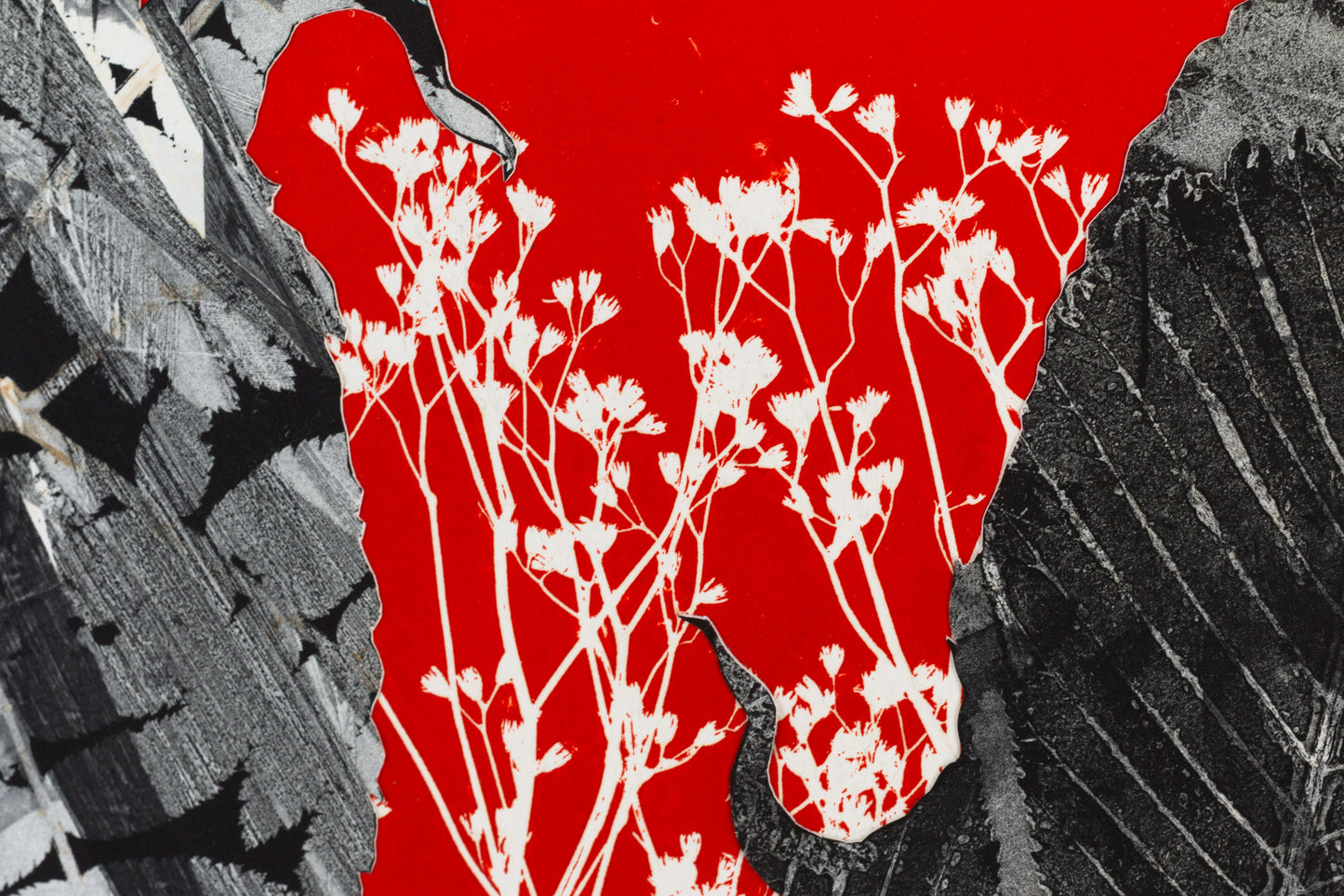 Collage mit schwarzen Blattformen und organischen Strukturen auf leuchtend rotem Hintergrund mit weißen Pflanzenmotiven – Collage with black leaf shapes and organic structures on a vivid red background with white plant silhouettes.