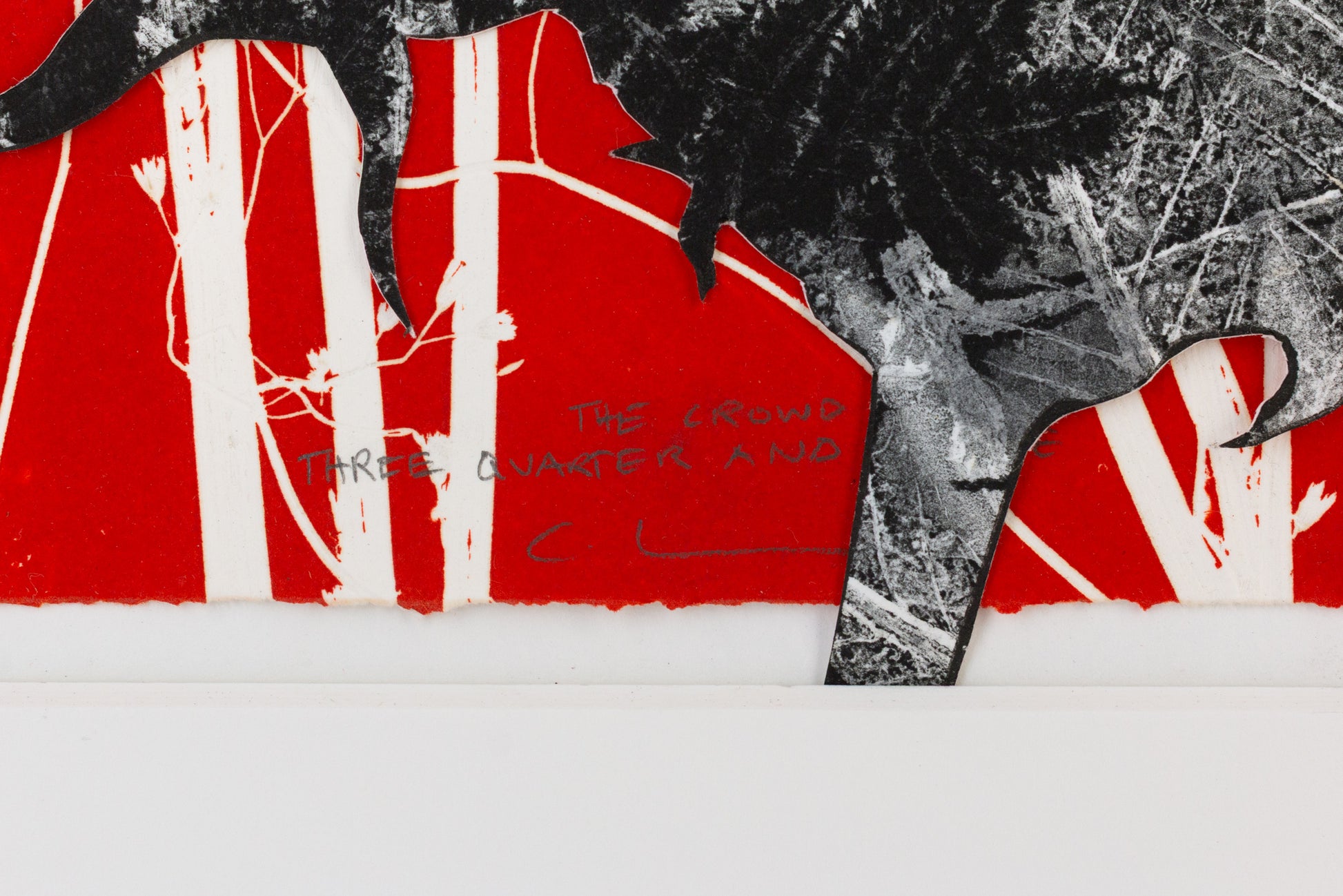 Collage mit schwarzen Blattformen und organischen Strukturen auf leuchtend rotem Hintergrund mit weißen Pflanzenmotiven – Collage with black leaf shapes and organic structures on a vivid red background with white plant silhouettes.