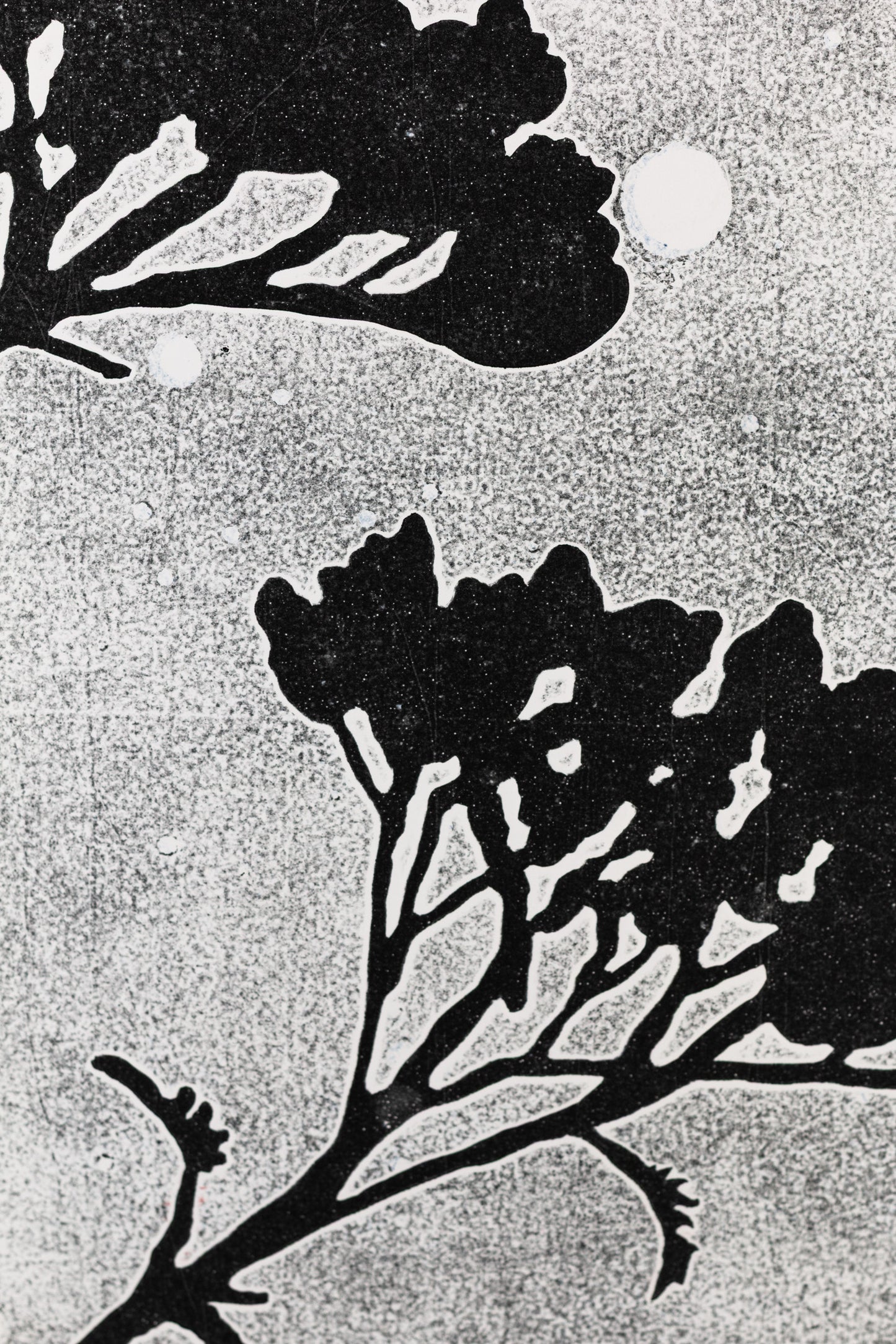 Dunkle Silhouette eines Nadelwaldes und einzelner Zweige vor einem hellen Nachthimmel mit sichtbaren Sternen und Vollmond. Dark silhouette of a forest and twigs in front of a bright night sky with stars and a full moon.