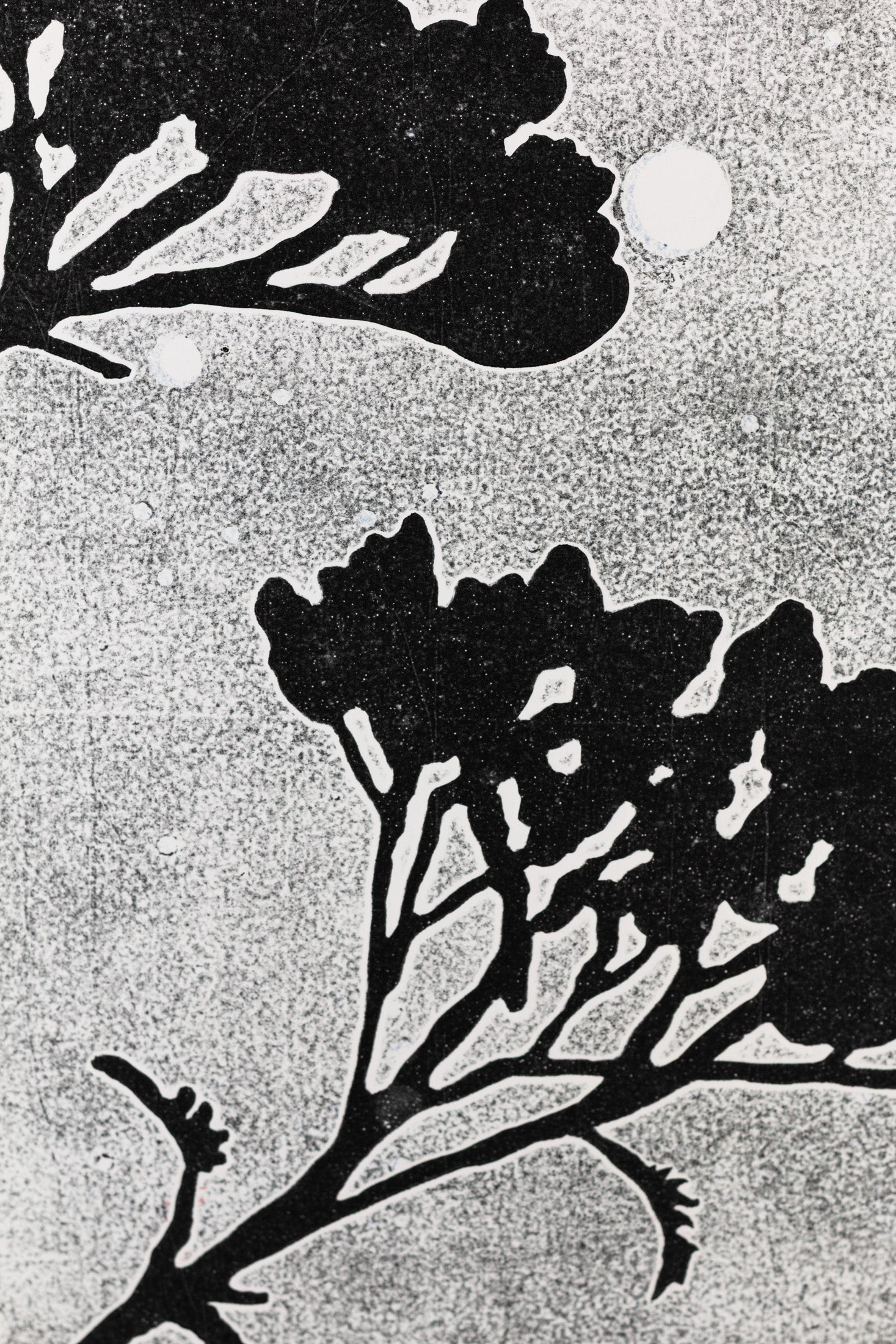 Dunkle Silhouette eines Nadelwaldes und einzelner Zweige vor einem hellen Nachthimmel mit sichtbaren Sternen und Vollmond. Dark silhouette of a forest and twigs in front of a bright night sky with stars and a full moon.