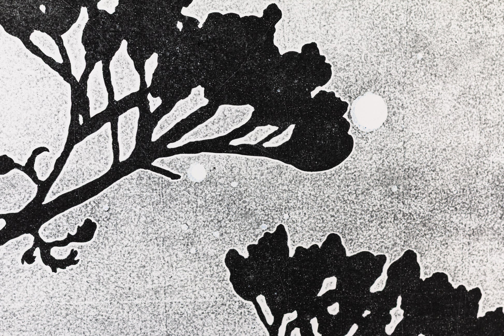 Dunkle Silhouette eines Nadelwaldes und einzelner Zweige vor einem hellen Nachthimmel mit sichtbaren Sternen und Vollmond. Dark silhouette of a forest and twigs in front of a bright night sky with stars and a full moon.