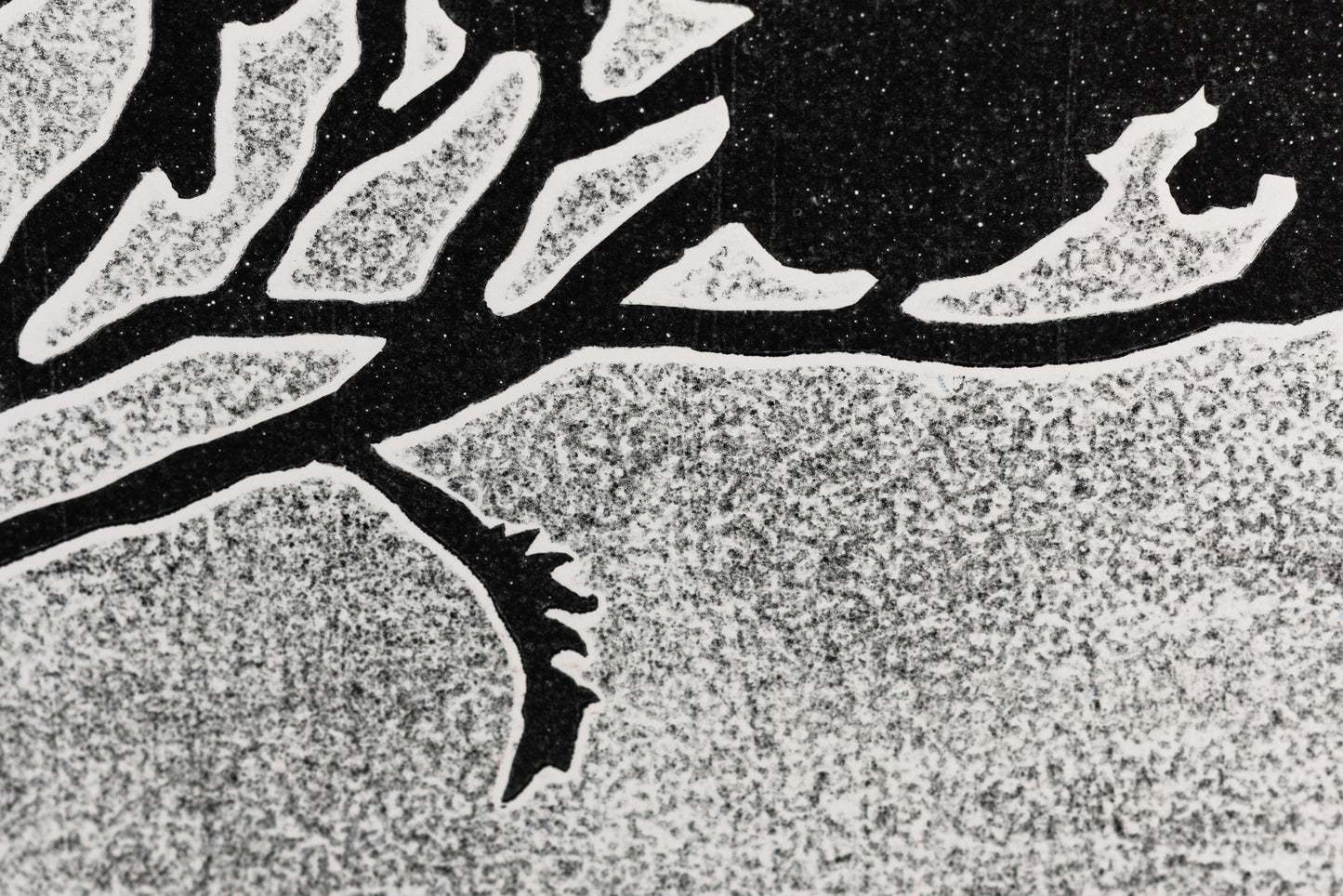 Dunkle Silhouette eines Nadelwaldes und einzelner Zweige vor einem hellen Nachthimmel mit sichtbaren Sternen und Vollmond. Dark silhouette of a forest and twigs in front of a bright night sky with stars and a full moon.