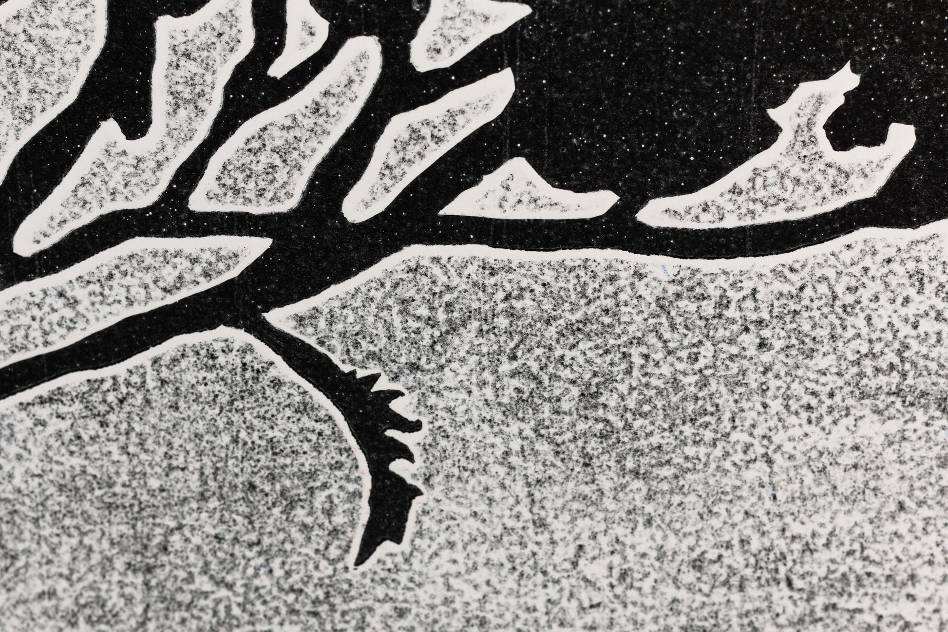 Dunkle Silhouette eines Nadelwaldes und einzelner Zweige vor einem hellen Nachthimmel mit sichtbaren Sternen und Vollmond. Dark silhouette of a forest and twigs in front of a bright night sky with stars and a full moon.