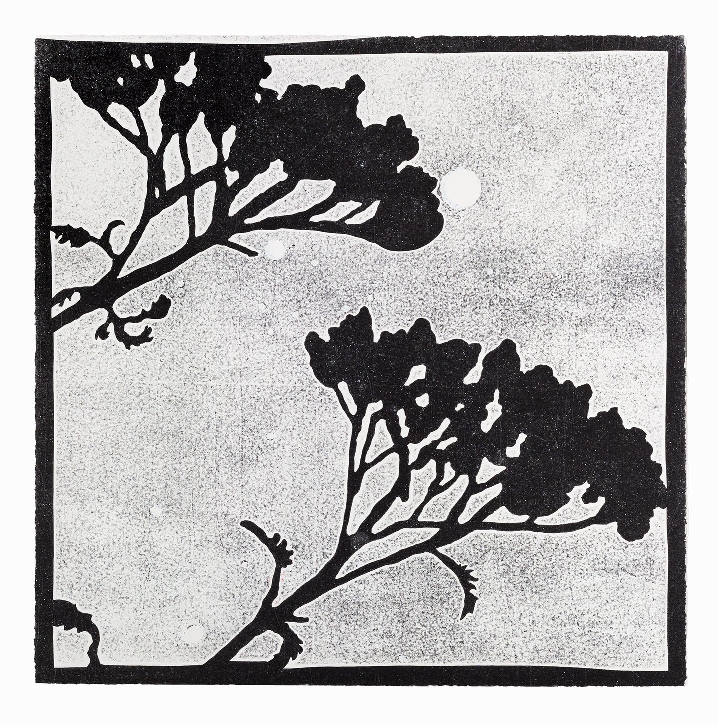 Dunkle Silhouette eines Nadelwaldes und einzelner Zweige vor einem hellen Nachthimmel mit sichtbaren Sternen und Vollmond. Dark silhouette of a forest and twigs in front of a bright night sky with stars and a full moon.